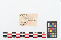 Etikett zu Bronzekahnfibel (NHMW-PRAE-025915)